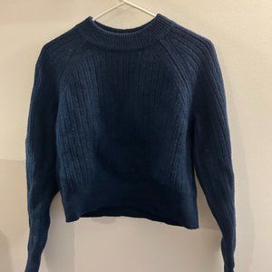 Uniqlo Blue Sweater